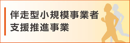 伴走型小規模事業者
支援推進事業